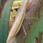 FB_IMG_1766509100850